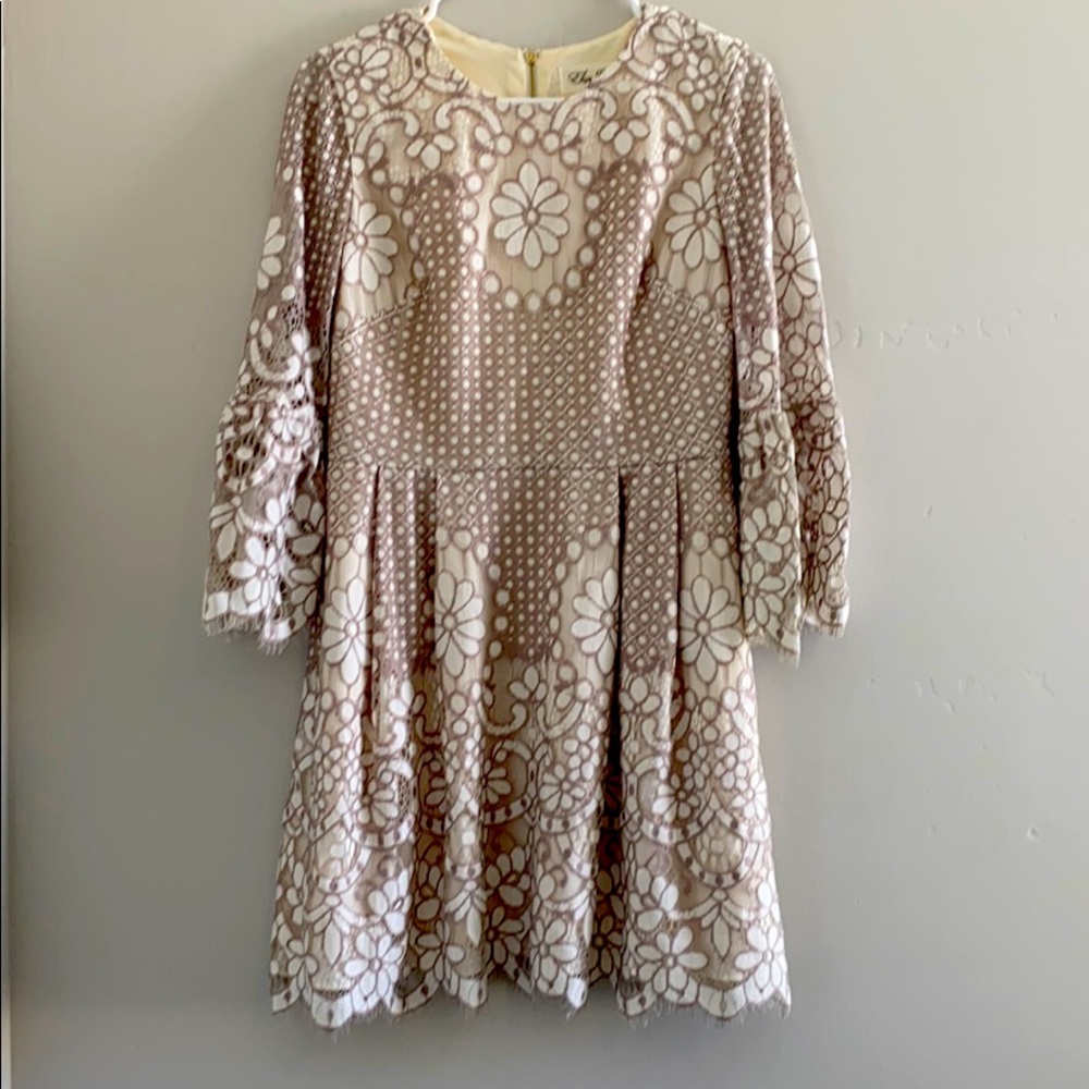 Lace Fit and Flare Dress